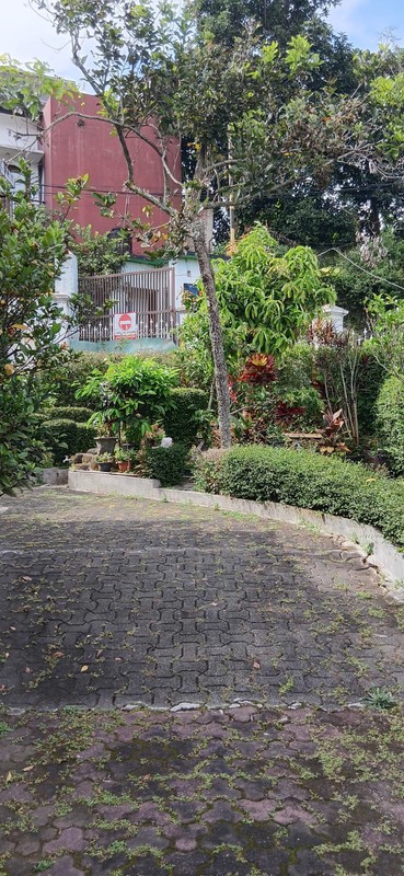 DIJUAL  RUMAH DAN LAHAN LUAS  DI RANCAHERANG GERLONG BANDUNG UTARA