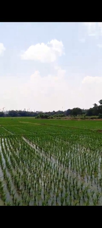 Tanah dengan Luas 45000 m2 Lokasi Subang Jawa Barat