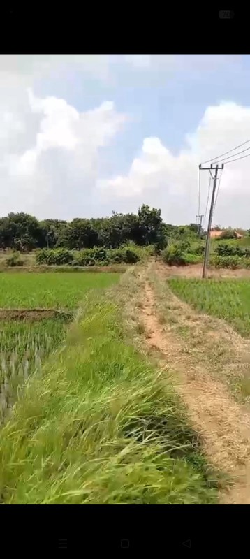 Tanah dengan Luas 45000 m2 Lokasi Subang Jawa Barat