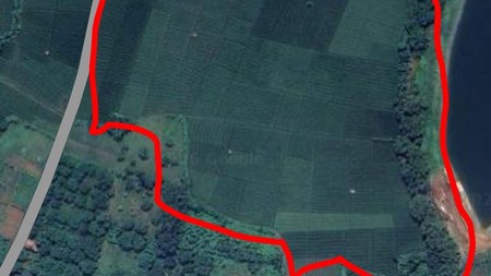 Tanah dengan Luas 45000 m2 Lokasi Subang Jawa Barat