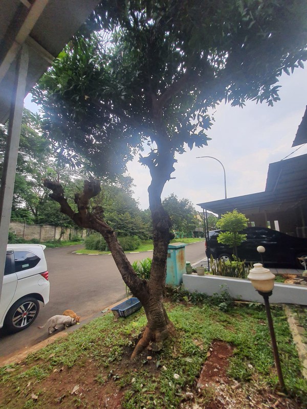 RUMAH MINIMALIS 1 LANTAI SIAP HUNI DALAM CLUSTER KOTA WISATA CIBUBUR