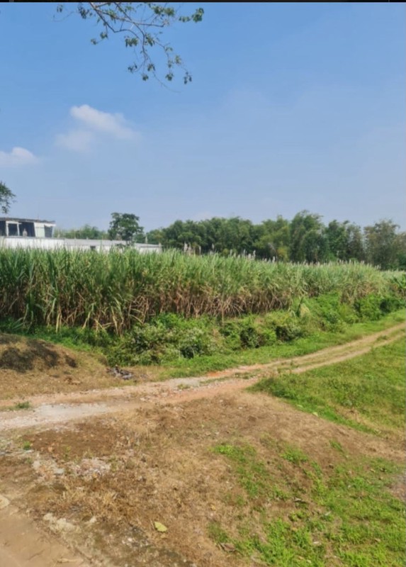 Dijual Tanah Kavling Strategis Raya Randuagung Malang  