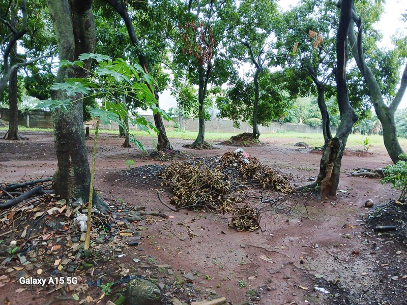Tanah Jl Pagelarang, Cipayung, jakarta Timur