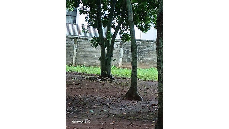 Tanah Jl Pagelarang, Cipayung, jakarta Timur