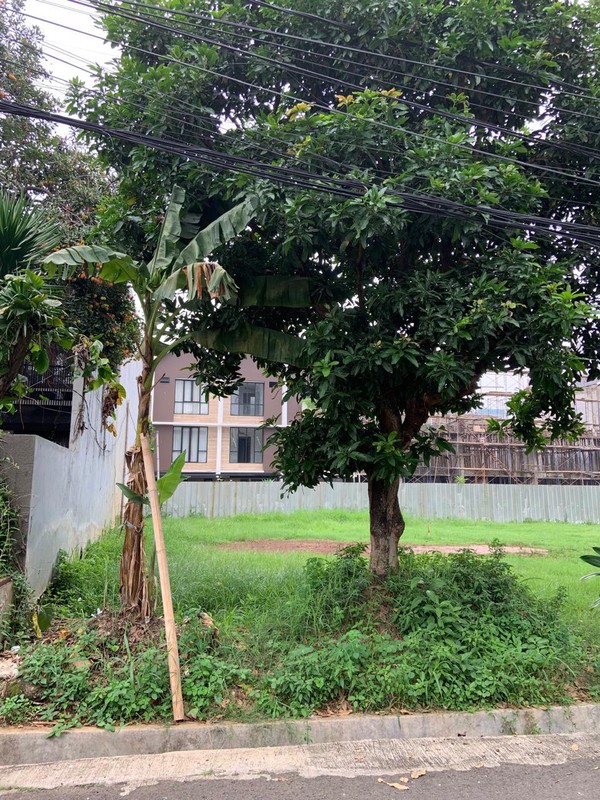 DIJUAL  KAVLING TANAH di jl Gabus - psr Minggu, JAKARTA Selatan 