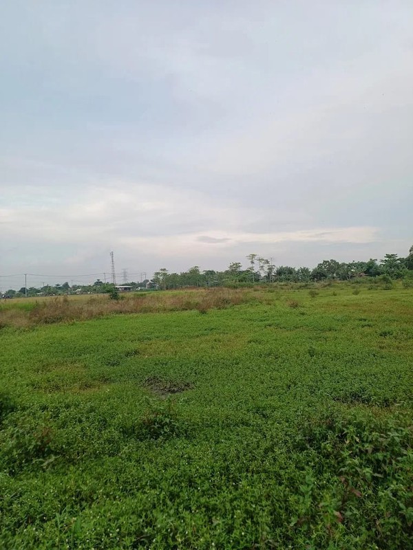 Kaveling Tanah Sawah Kampung Ilir Tunggakjati Karawang Barat