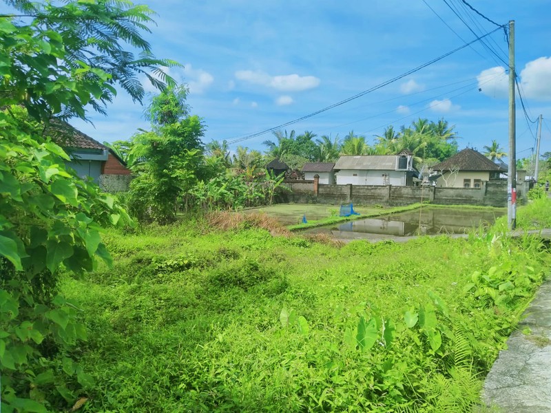 Leasehold - The Ultimate Ubud Estate: 2 Bedrooms Villa + Extra Development Land to Double Your Property Potential.