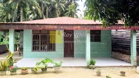 Jual Rumah Yang berlokasi di JL. Raya Kandis, Kandis, Siak, Provinsi Riau.