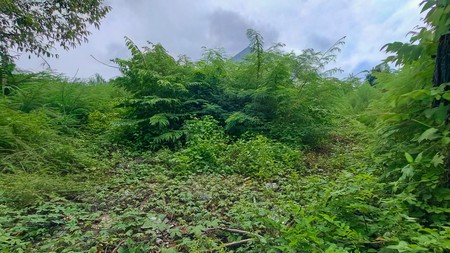 Tanah di Radio Dalam Gandaria  dekat Pondok Indah, Kebayoran Baru