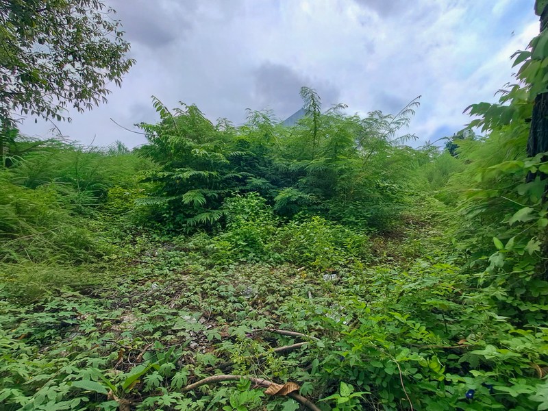Tanah di Radio Dalam Gandaria  dekat Pondok Indah, Kebayoran Baru