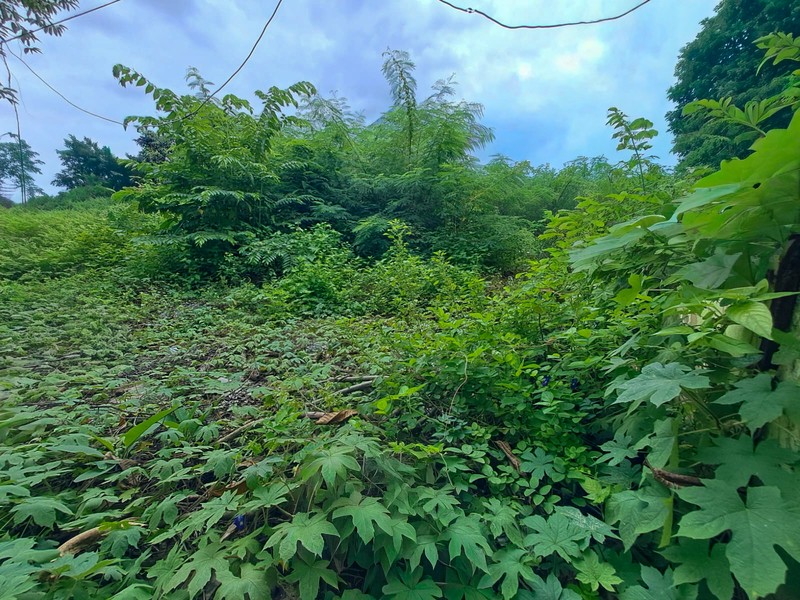 Tanah di Radio Dalam Gandaria  dekat Pondok Indah, Kebayoran Baru