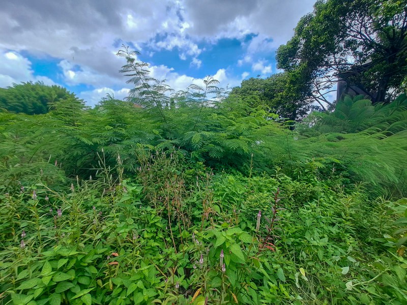 Tanah di Radio Dalam Gandaria  dekat Pondok Indah, Kebayoran Baru