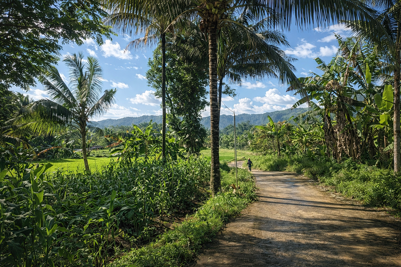 Tanah Premium Tepi Jalan Utama Bandongan,  View Menakjubkan 4 Gunung di Kaliangkrik, Magelang