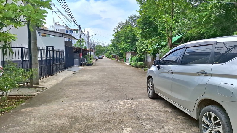 Rumah Hoek Kelapa Hibrida, Kelapa Gading