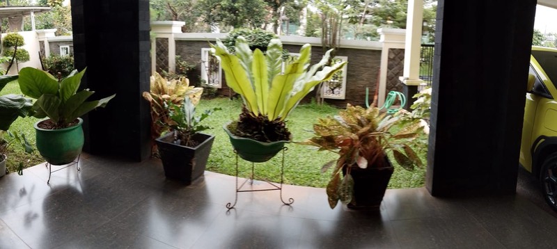 DIJUAL CEPAT RUMAH MEWAH & STRATEGIS DI VILA DAGO PAMULANG, TANGERANG SELATAN