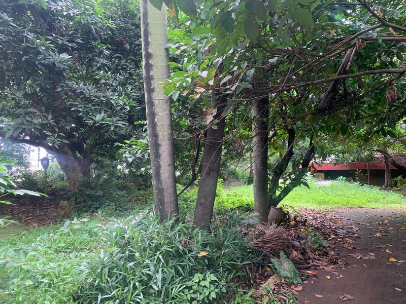 Kavling Siap Bangun Di Jl Raya Ragunan (Sebelah Gg Jenan) Jakarta Selatan