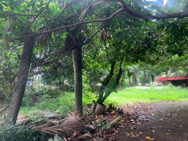 Kavling Siap Bangun Di Jl Raya Ragunan (Sebelah Gg Jenan) Jakarta Selatan