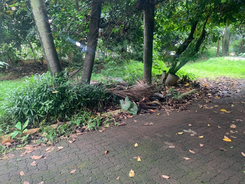 Kavling Siap Bangun Di Jl Raya Ragunan (Sebelah Gg Jenan) Jakarta Selatan