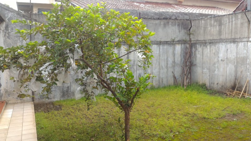 Rumah Bagus Di Jl Kesehatan, Bintaro Jakarta Selatan