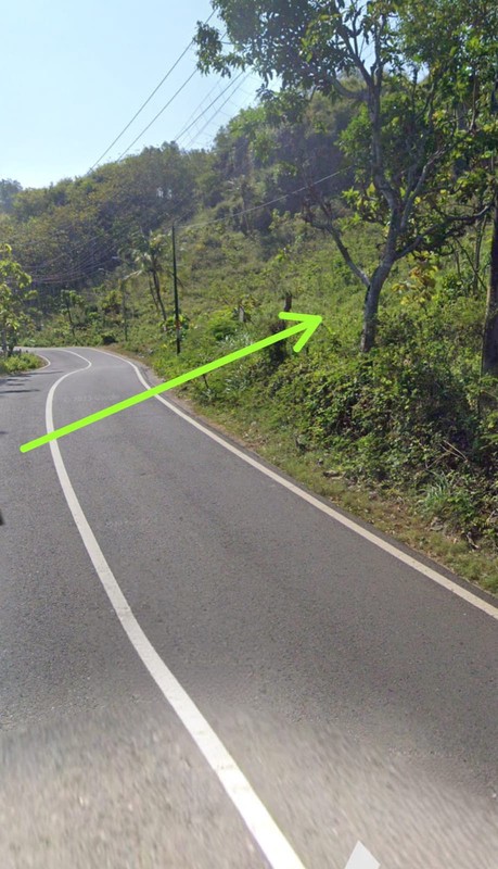 Investasi Tanah 8.736 Meter Persegi di Loji Drini Jalur Utama Pantai Selatan, Tanjungsari, Gunungkidul