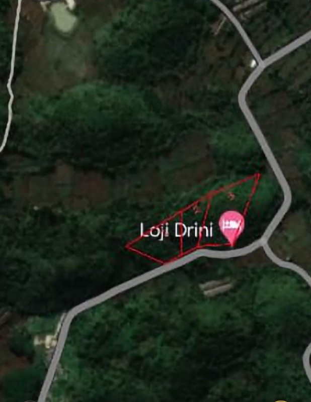 Investasi Tanah 8.736 Meter Persegi di Loji Drini Jalur Utama Pantai Selatan, Tanjungsari, Gunungkidul