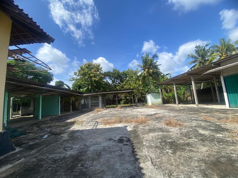 Tanah Strategis 2.291 Meter Persegi di Pusat Wonosari ,Bonus Bangunan Rumah & Lokasi Premium, Wonosari, Gunungkidul