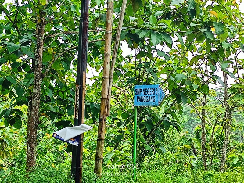 Tanah Luas 1 Hektar Lebih di Panggang  & Sangat Terjangkau untuk Investasi, Giriharjo, Panggang, Gunungkidul