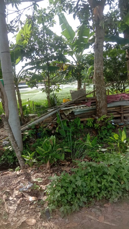 Tanah 526 Meter Persegi di Wedomartani Sleman Hadap Timur, Lingkungan Asri & Strategis