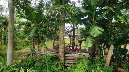 Tanah 526 Meter Persegi di Wedomartani Sleman Hadap Timur, Lingkungan Asri & Strategis