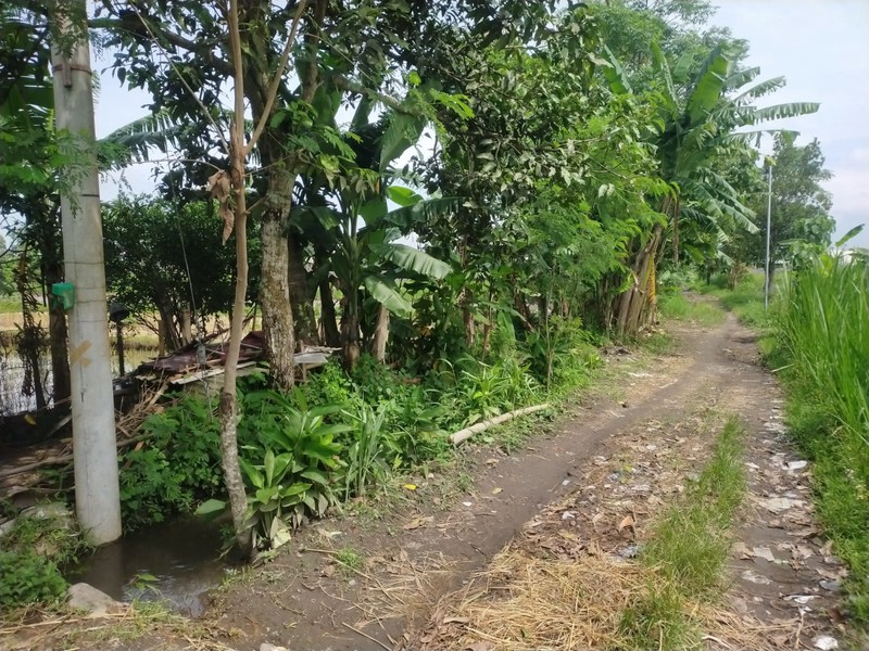 Tanah 526 Meter Persegi di Wedomartani Sleman Hadap Timur, Lingkungan Asri & Strategis