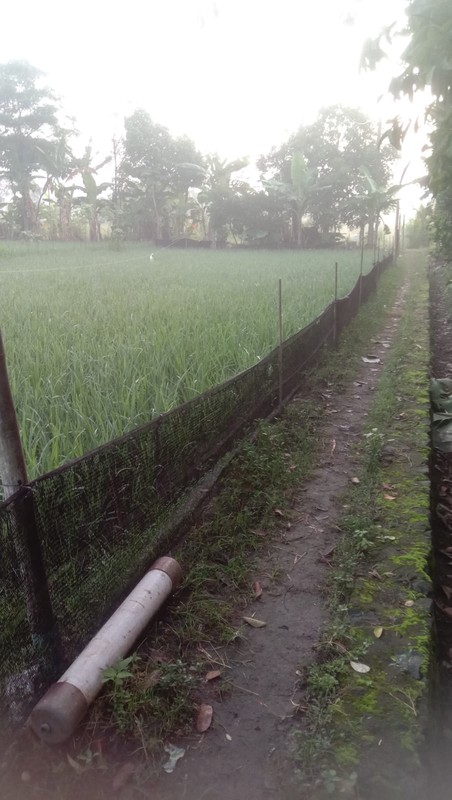 Tanah 526 Meter Persegi di Wedomartani Sleman Hadap Timur, Lingkungan Asri & Strategis