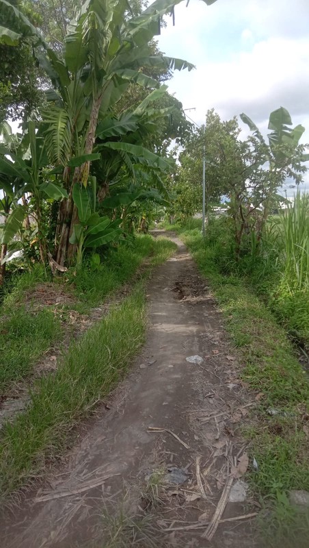 Tanah 526 Meter Persegi di Wedomartani Sleman Hadap Timur, Lingkungan Asri & Strategis