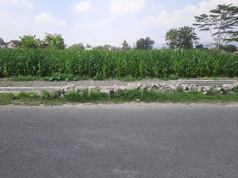 Dijual Tanah Strategis 2.205 Meter Persegi di Baturetno, Banguntapan Dekat Ring Road Timur & Pusat Kota Jogja