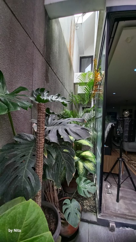 Rumah daerah penduduk dekat dengan sektor 7 Bintaro,, dekat dg area kuliner, RS, BXC dan toll...