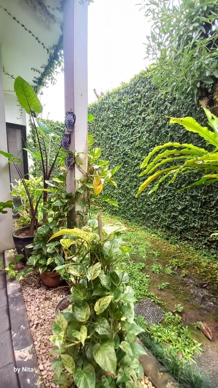 Rumah daerah penduduk dekat dengan sektor 7 Bintaro,, dekat dg area kuliner, RS, BXC dan toll...