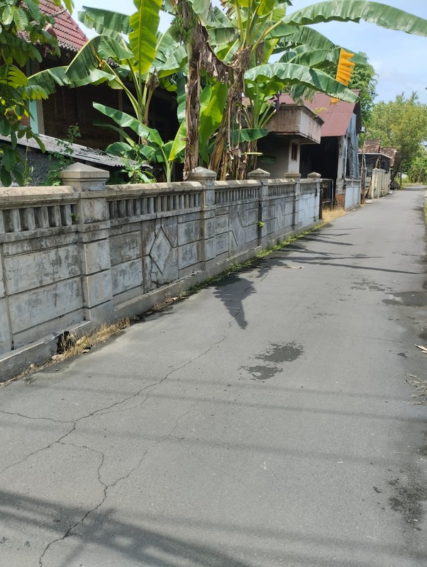 Rumah Panggung Etnik Kayu Jati Lokasi Strategis Mangku Jalan Raya Pedan-Cawas, Trucuk, Klaten