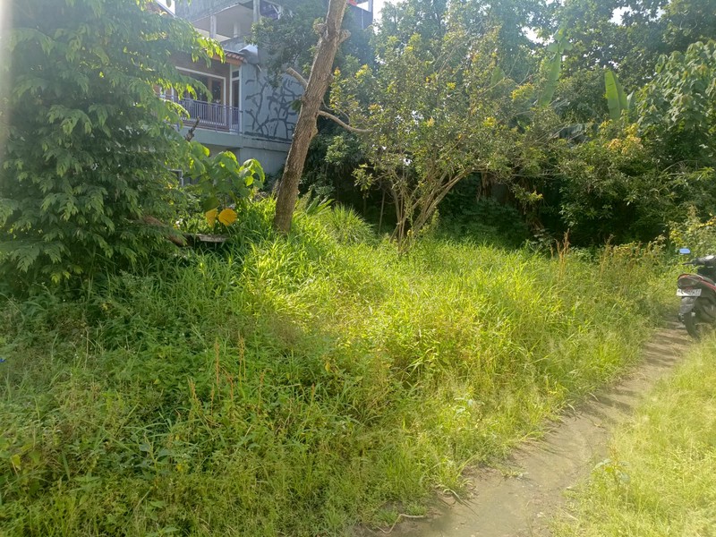 Investasi Strategis di Pusat Kota Jogja, Jual Tanah Bonus Bangunan di Mantrijeron