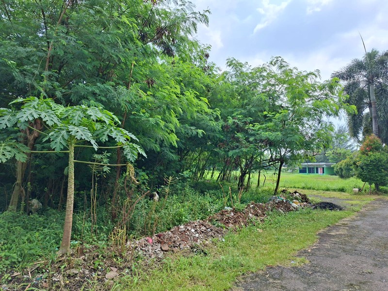 Kavling Bonus Rumah Di Jl Raden Saleh Karang Tengah Kota Tangerang