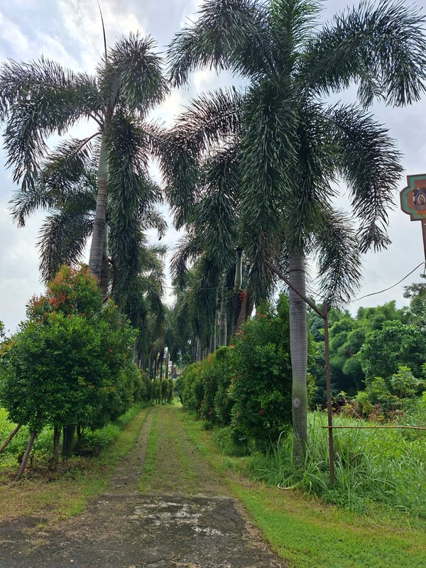 Kavling Bonus Rumah Di Jl Raden Saleh Karang Tengah Kota Tangerang