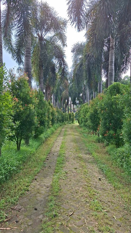 Kavling Bonus Rumah Di Jl Raden Saleh Karang Tengah Kota Tangerang