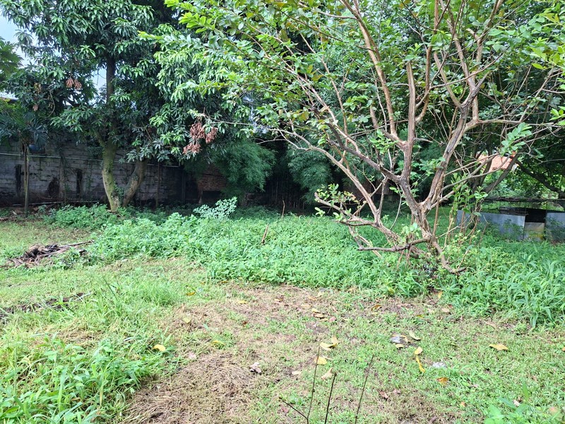 Kavling Bonus Rumah Di Jl Raden Saleh Karang Tengah Kota Tangerang