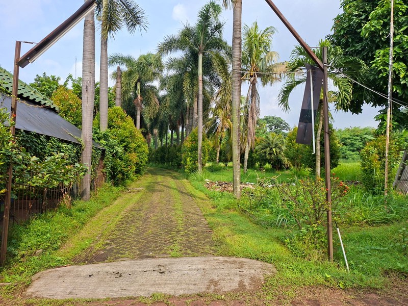 Kavling Bonus Rumah Di Jl Raden Saleh Karang Tengah Kota Tangerang