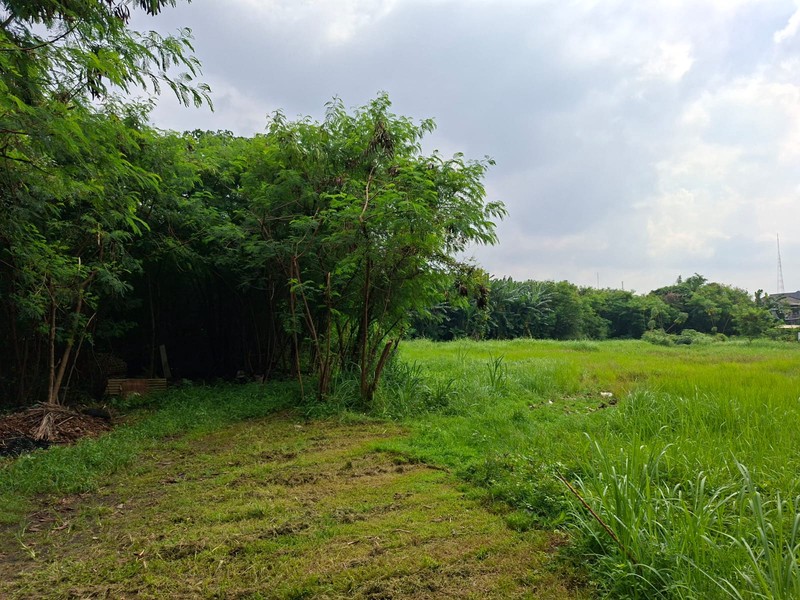 Kavling Bonus Rumah Di Jl Raden Saleh Karang Tengah Kota Tangerang