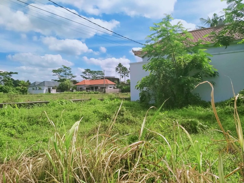 Leasehold - The Ultimate Ubud Estate: 2 Bedrooms Villa + Extra Development Land to Double Your Property Potential.