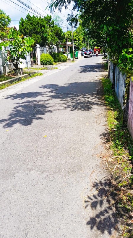 Disewakan Tanah Sawah 831 Meter Persegi  Lokasi Strategis di Tegalrejo Yogyakarta 