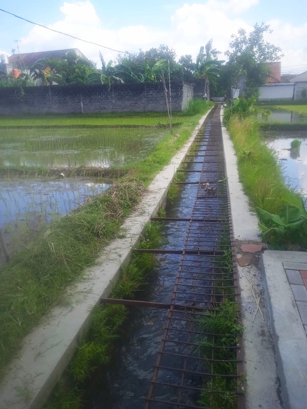Disewakan Tanah Sawah 831 Meter Persegi  Lokasi Strategis di Tegalrejo Yogyakarta 