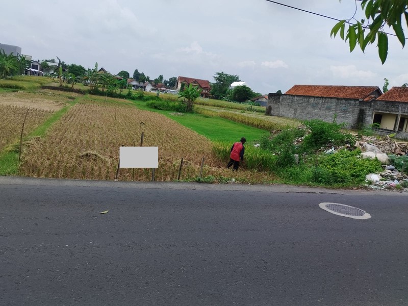 Dijual Tanah Sawah Strategis di Kasihan Bantul Yogyakarta