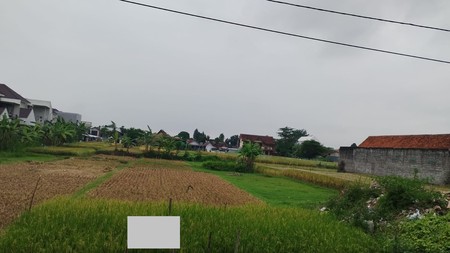Dijual Tanah Sawah Strategis di Kasihan Bantul Yogyakarta