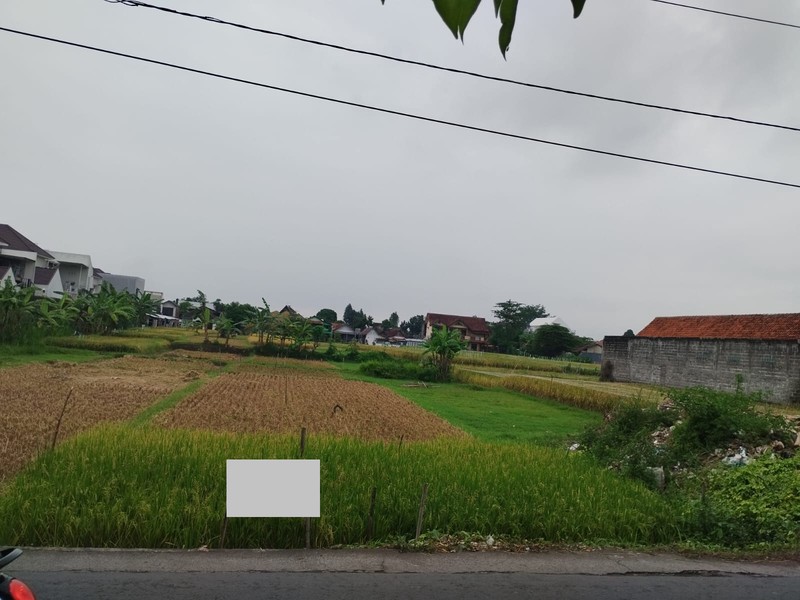 Dijual Tanah Sawah Strategis di Kasihan Bantul Yogyakarta