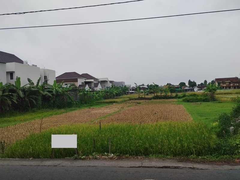 Dijual Tanah Sawah Strategis di Kasihan Bantul Yogyakarta